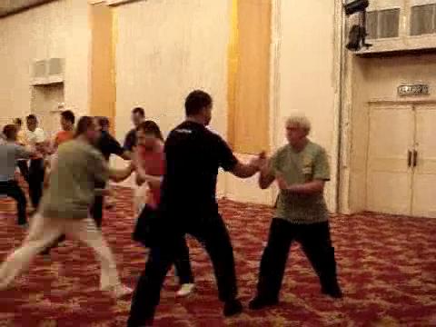 Wahnam Taijiquan