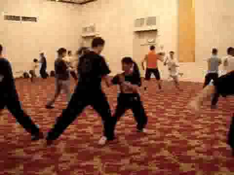 Wahnam Taijiquan