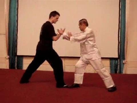 Wahnam Taijiquan