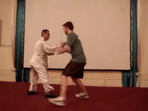 Wahnam Taijiquan