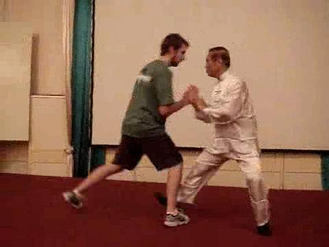 Wahnam Taijiquan