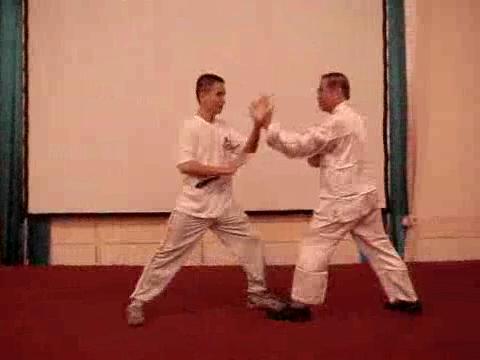 Wahnam Taijiquan