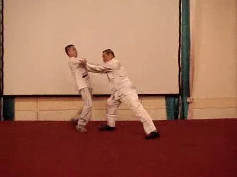 Wahnam Taijiquan