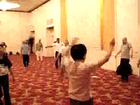 Wahnam Taijiquan Tai Chi Chuan