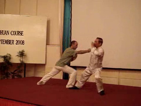 Wahnam Taijiquan