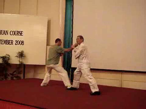 Wahnam Taijiquan