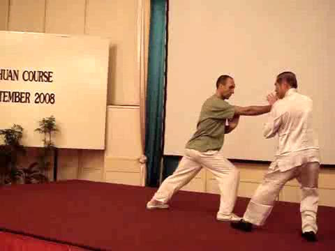 Wahnam Taijiquan