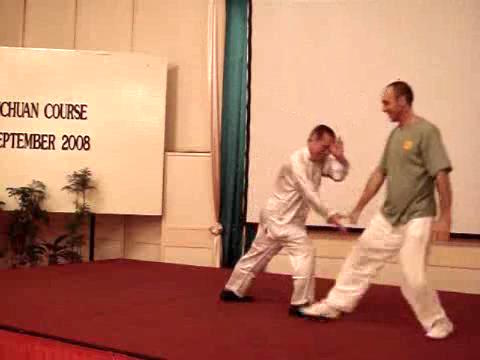 Wahnam Taijiquan