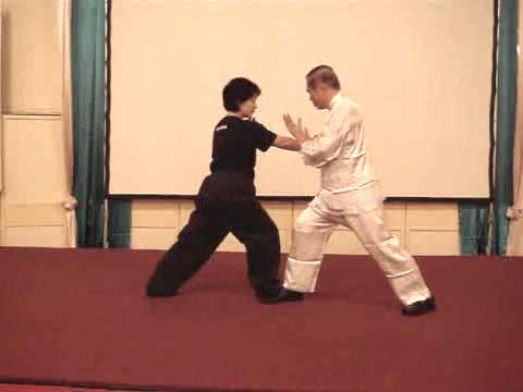 Wahnam Taijiquan