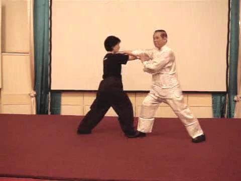 Wahnam Taijiquan