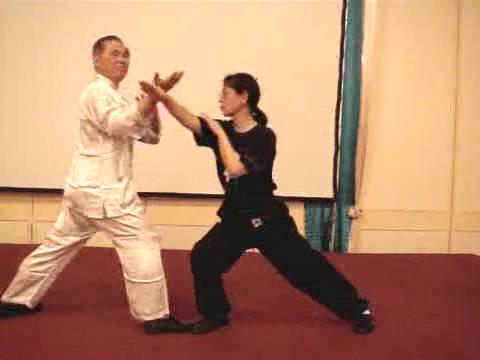 Wahnam Taijiquan