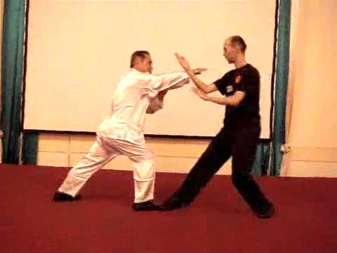 Wahnam Taijiquan