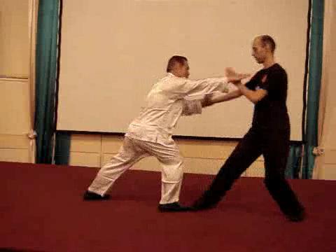 Wahnam Taijiquan, Tai Chi Chuan