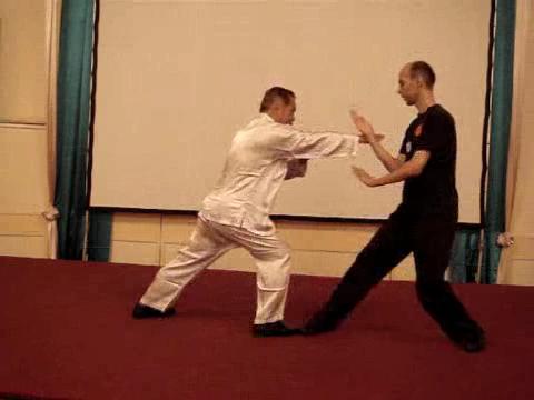 Wahnam Taijiquan