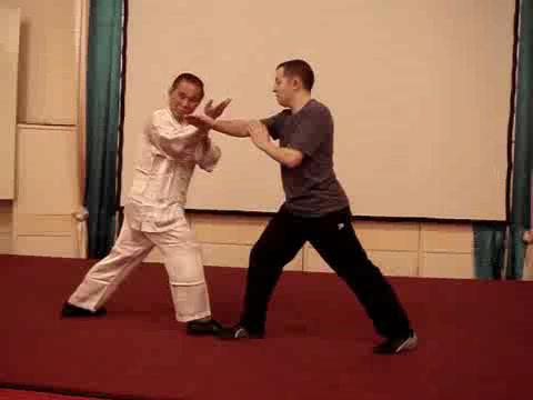 Wahnam Taijiquan