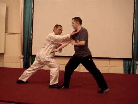 Wahnam Taijiquan