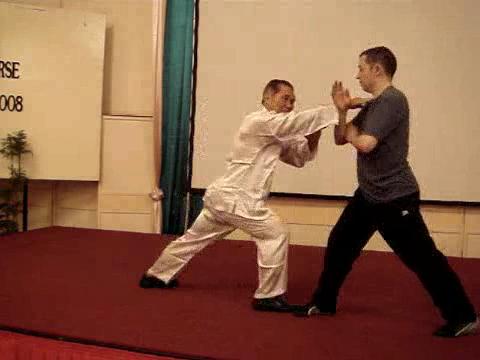 Wahnam Taijiquan