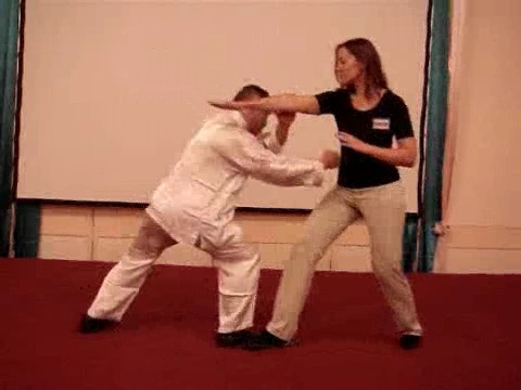 Wahnam Taijiquan