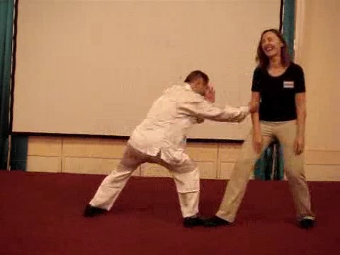 Wahnam Taijiquan