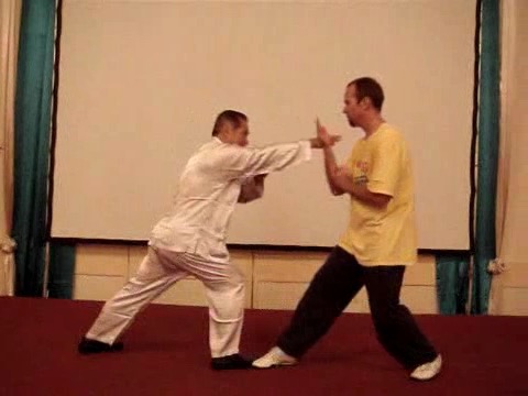 Wahnam Taijiquan