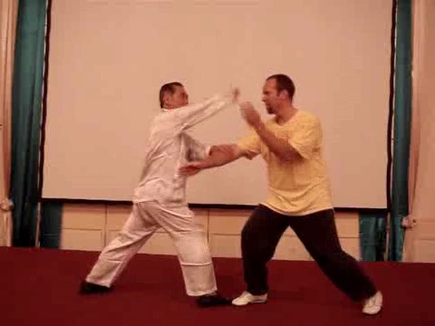 Wahnam Taijiquan