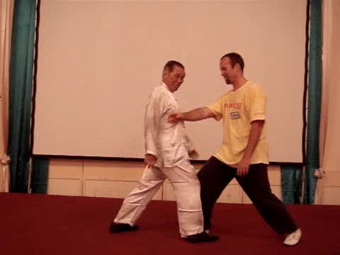 Wahnam Taijiquan