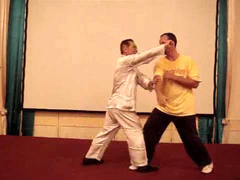 Wahnam Taijiquan, Tai Chi Chuan