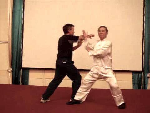 Wahnam Taijiquan