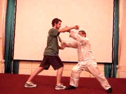 Wahnam Taijiquan, Tai Chi Chuan