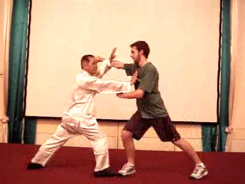 Wahnam Taijiquan