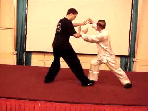 Wahnam Taijiquan