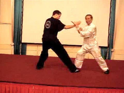 Wahnam Taijiquan