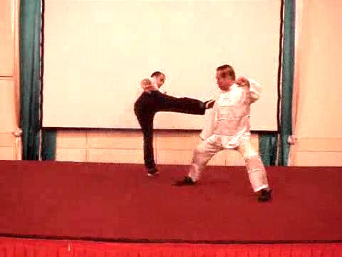 Wahnam Taijiquan