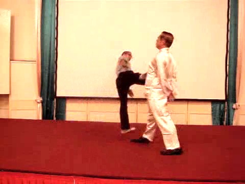 Wahnam Taijiquan, Tai Chi Chuan