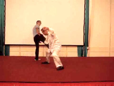 Wahnam Taijiquan