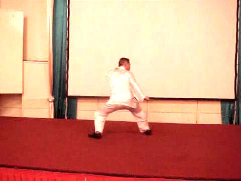 Wahnam Taijiquan