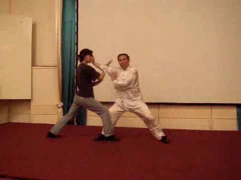 Wahnam Taijiquan