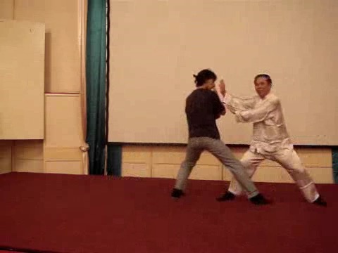 Wahnam Taijiquan