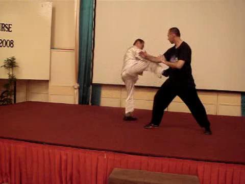 Wahnam Taijiquan