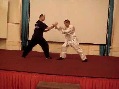 Wahnam Taijiquan