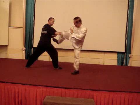 Wahnam Taijiquan, Tai Chi Chuan