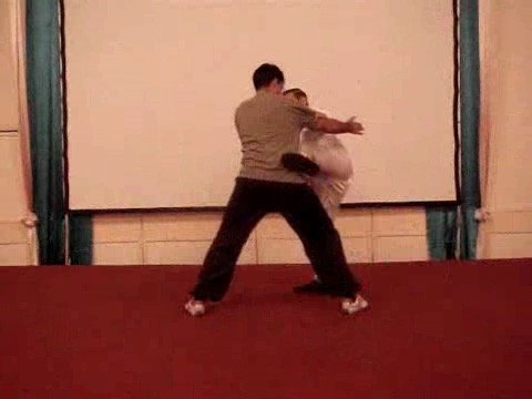 Wahnam Taijiquan