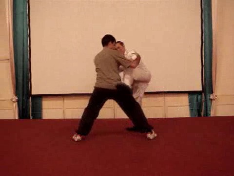 Wahnam Taijiquan