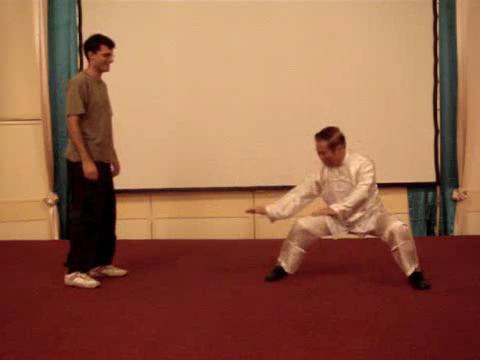 Wahnam Taijiquan