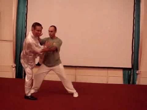 Wahnam Taijiquan