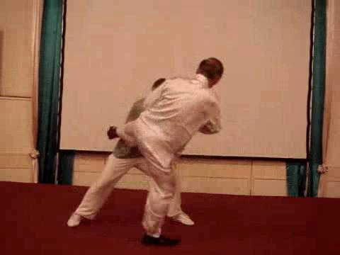 Wahnam Taijiquan