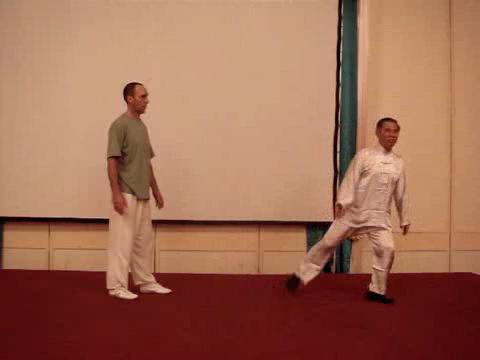 Wahnam Taijiquan