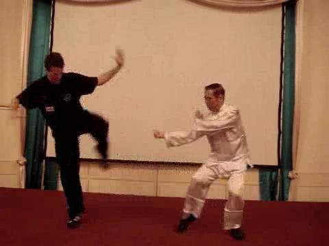 Wahnam Taijiquan