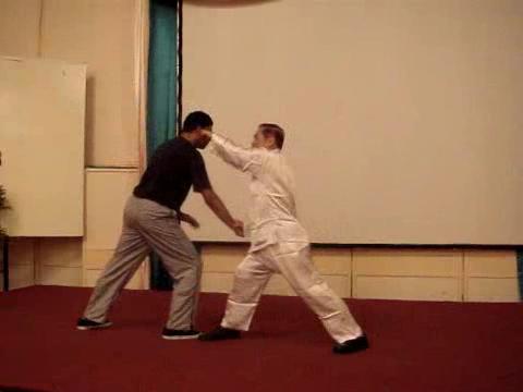 Wahnam Taijiquan