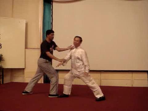 Wahnam Taijiquan